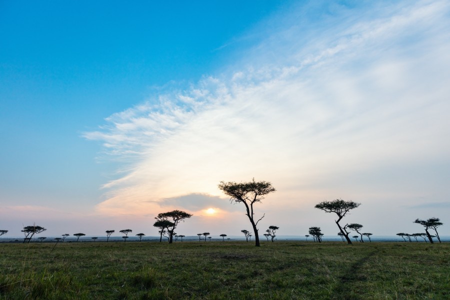 Quand visiter le Masai Mara ?