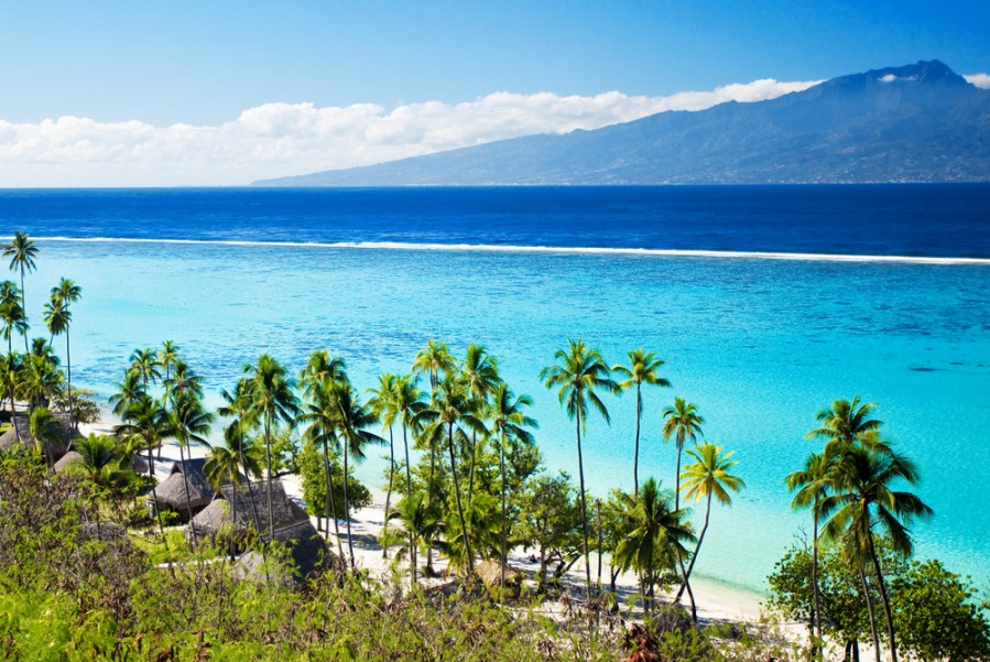 île de Moorea : le guide pour préparer son séjour !