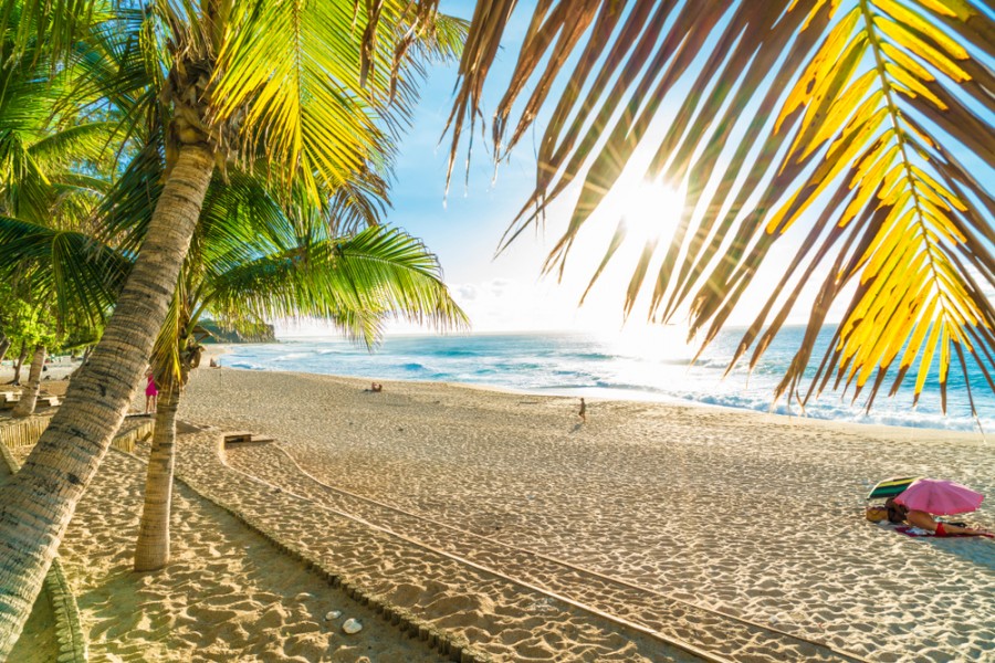 Plage de la reunion : où nager en toute sécurité !