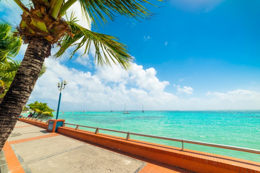 Pourquoi devrais-je visiter la plage de Sainte-Anne en Guadeloupe ?