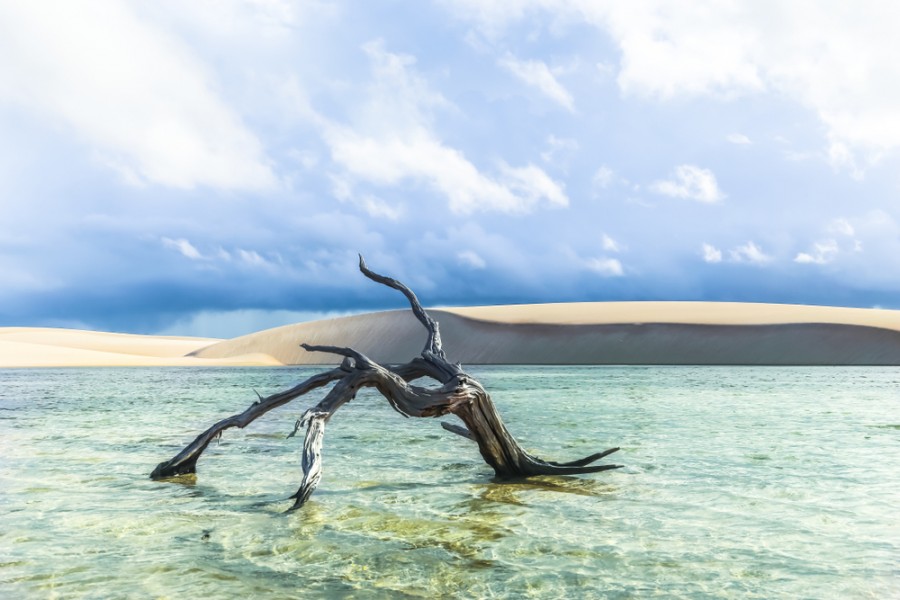 Quand aller à Lencois Maranhenses ?