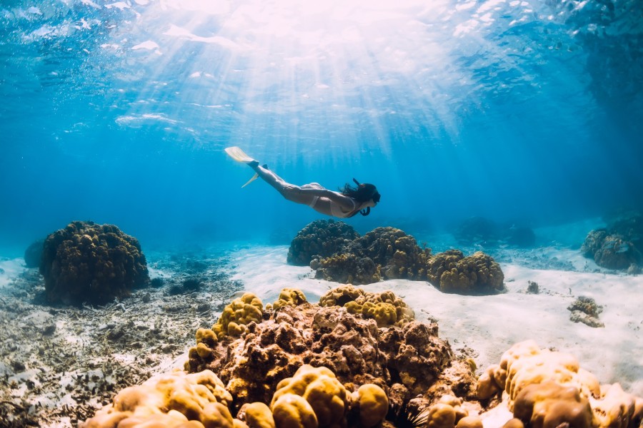 Quelles sont les activités à faire à Cala Gonone ? Quelles sont les activités à faire à Cala Gonone ?
