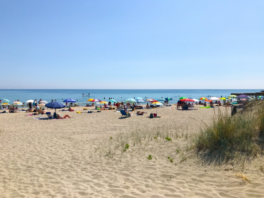 Quels sont les dangers de la plage de la Baie des Cochons au Cap d'Agde ? Quels sont les dangers de la plage de la Baie des Cochons au Cap d'Agde ?