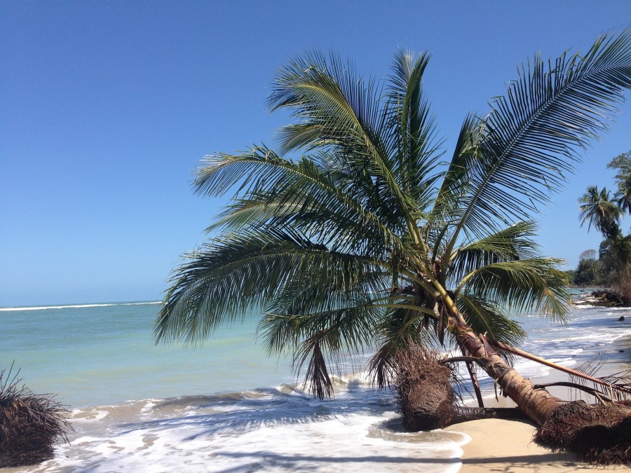 Santa Teresa, Costa Rica : Pourquoi est-ce la destination de rêve pour votre prochain voyage ?